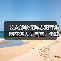 公安部敦促陈志犯罪集团在逃人员自首,争取宽大处理(图2) 公安部敦促陈志犯罪集团在逃人员自首,争取宽大处理(图2)