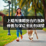 上期所镍期货合约涨跌停板与保证金比例调整解析(图2) 上期所镍期货合约涨跌停板与保证金比例调整解析(图2)