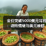 金价突破5000美元背后:避险情绪与美元疲软如何推动上涨?(图2) 金价突破5000美元背后:避险情绪与美元疲软如何推动上涨?(图2)