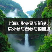 上海期货交易所新规:境外参与者参与镍期货及期权交易如何助力开放战略?(图3) 上海期货交易所新规:境外参与者参与镍期货及期权交易如何助力开放战略?(图3)