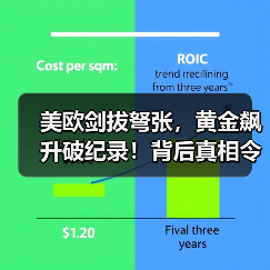 美欧剑拔弩张，黄金飙升破纪录！背后真相令人震惊（图2）