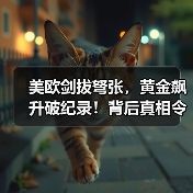 美欧剑拔弩张，黄金飙升破纪录！背后真相令人震惊（图3）