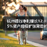 杭州银行净利增长12.05%资产规模扩张背后的秘密(图3) 杭州银行净利增长12.05%资产规模扩张背后的秘密(图3)