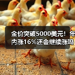 金价突破5000美元!年内涨16%还会继续涨吗?(图3) 金价突破5000美元!年内涨16%还会继续涨吗?(图3)