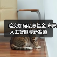 险资加码私募基金 布局人工智能等新赛道(图2) 险资加码私募基金 布局人工智能等新赛道(图2)