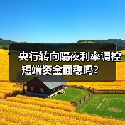 央行转向隔夜利率调控 短端资金面稳吗?(图4) 央行转向隔夜利率调控 短端资金面稳吗?(图4)