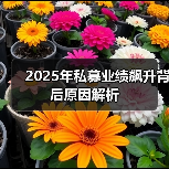 2025年私募业绩飙升背后原因解析(图2) 2025年私募业绩飙升背后原因解析(图2)
