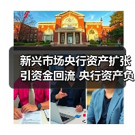新兴市场央行资产扩张引资金回流 央行资产负债表分化加剧(图4) 新兴市场央行资产扩张引资金回流 央行资产负债表分化加剧(图4)