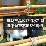 理财产品收益缩水?基准下调至不足3%真相(图2) 理财产品收益缩水?基准下调至不足3%真相(图2)