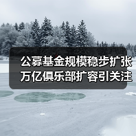 公募基金规模稳步扩张 万亿俱乐部扩容引关注(图4) 公募基金规模稳步扩张 万亿俱乐部扩容引关注(图4)