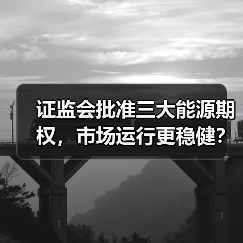 证监会批准三大能源期权，市场运行更稳健？（图3）