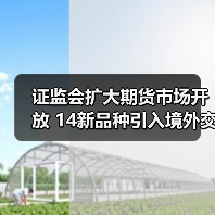 证监会扩大期货市场开放 14新品种引入境外交易者(图4) 证监会扩大期货市场开放 14新品种引入境外交易者(图4)