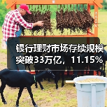 银行理财市场存续规模突破33万亿，11.15%增长背后有哪些机遇？（图4）