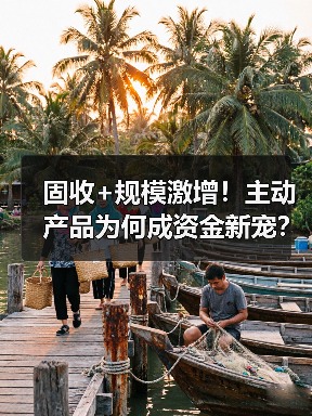 固收+规模激增！主动产品为何成资金新宠？（图4）