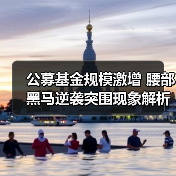 公募基金规模激增 腰部黑马逆袭突围现象解析（图1）
