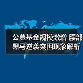 公募基金规模激增 腰部黑马逆袭突围现象解析（图3）