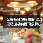 公募基金规模激增 腰部黑马逆袭突围现象解析（图4）