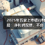 2025年五家上市银行财报：净利润双增，不良率持续改善（图2）