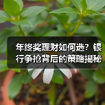 年终奖理财如何选?银行争抢背后的策略揭秘(图3) 年终奖理财如何选?银行争抢背后的策略揭秘(图3)