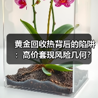 黄金回收热背后的陷阱：高价套现风险几何？（图4）
