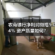 农商银行净利润微增5.04% 资产质量如何？（图4）