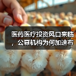 医药医疗投资风口来临，公募机构为何加速布局？（图1）
