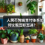 人民币跨境支付体系如何实现互联互通？（图2）