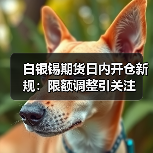 白银锡期货日内开仓新规：限额调整引关注（图4）