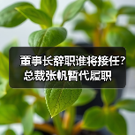 董事长辞职谁将接任？总裁张帆暂代履职（图2）