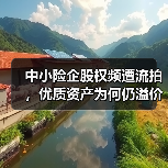 中小险企股权频遭流拍，优质资产为何仍溢价成交？（图1）