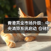 香港黄金市场升级:中央清算系统启动 仓储扩容至2000吨(图3) 香港黄金市场升级:中央清算系统启动 仓储扩容至2000吨(图3)