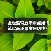 金融监管五项重点如何筑牢高质量发展防线?(图4) 金融监管五项重点如何筑牢高质量发展防线?(图4)