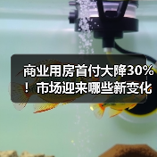商业用房首付大降30%!市场迎来哪些新变化?(图4) 商业用房首付大降30%!市场迎来哪些新变化?(图4)