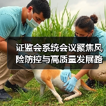 证监会系统会议聚焦风险防控与高质量发展路径（图2）