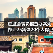 证监会表彰稽查办案先锋：25集体20个人捍卫市场公平（图1）