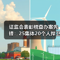 证监会表彰稽查办案先锋：25集体20个人捍卫市场公平（图3）