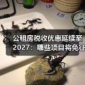 公租房税收优惠延续至2027：哪些项目将免征？（图1）