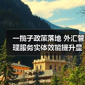 一揽子政策落地 外汇管理服务实体效能提升显著(图1) 一揽子政策落地 外汇管理服务实体效能提升显著(图1)