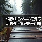 银行结汇22446亿元背后的外汇管理信号？解读关键数据（图1）