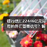 银行结汇22446亿元背后的外汇管理信号？解读关键数据（图2）