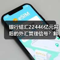 银行结汇22446亿元背后的外汇管理信号？解读关键数据（图3）