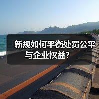 新规如何平衡处罚公平与企业权益?(图2) 新规如何平衡处罚公平与企业权益?(图2)