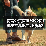 河南外贸首破9000亿！机电产品出口如何成为增长新引擎？（图3）