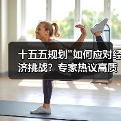 十五五规划 十五五规划
