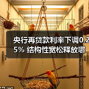 央行再贷款利率下调0.25% 结构性宽松释放哪些信号?(图3) 央行再贷款利率下调0.25% 结构性宽松释放哪些信号?(图3)