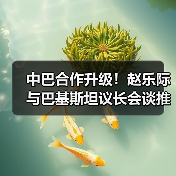 中巴合作升级!赵乐际与巴基斯坦议长会谈推进命运共同体(图3) 中巴合作升级!赵乐际与巴基斯坦议长会谈推进命运共同体(图3)