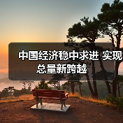 中国经济稳中求进 实现总量新跨越(图4) 中国经济稳中求进 实现总量新跨越(图4)