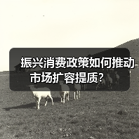 振兴消费政策如何推动市场扩容提质?(图3) 振兴消费政策如何推动市场扩容提质?(图3)