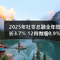 2025年社零总额全年增长3.7% 12月微增0.9% 线上消费增速亮眼(图3) 2025年社零总额全年增长3.7% 12月微增0.9% 线上消费增速亮眼(图3)