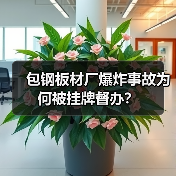 包钢板材厂爆炸事故为何被挂牌督办?(图4) 包钢板材厂爆炸事故为何被挂牌督办?(图4)